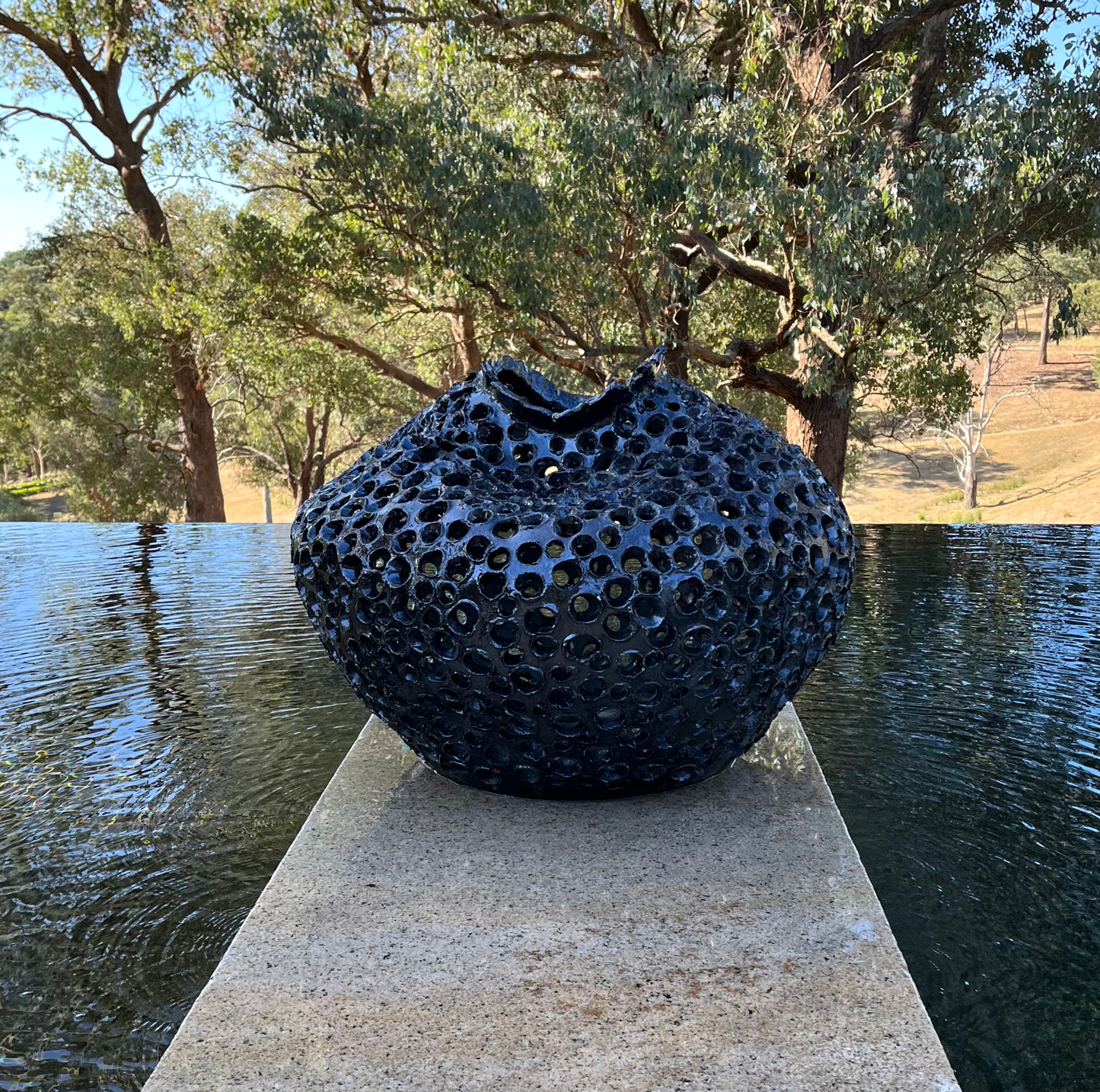 Coral Sculpture / Garden Lamp image 2