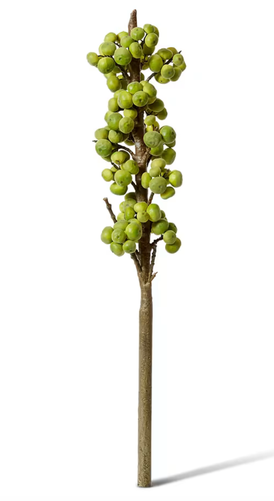 Artificial green tree branch with figs on a white background