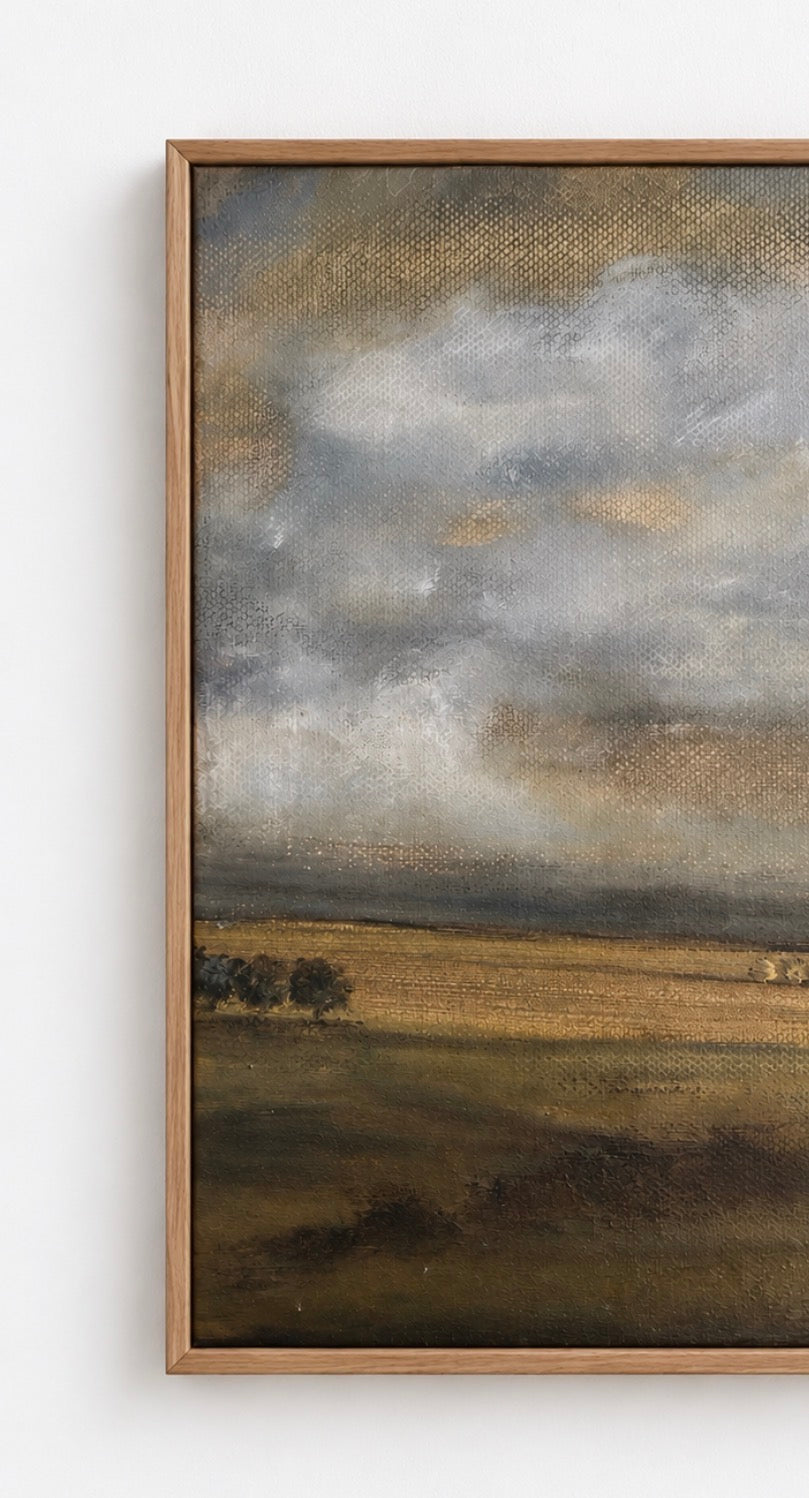 'Hay Paddock'