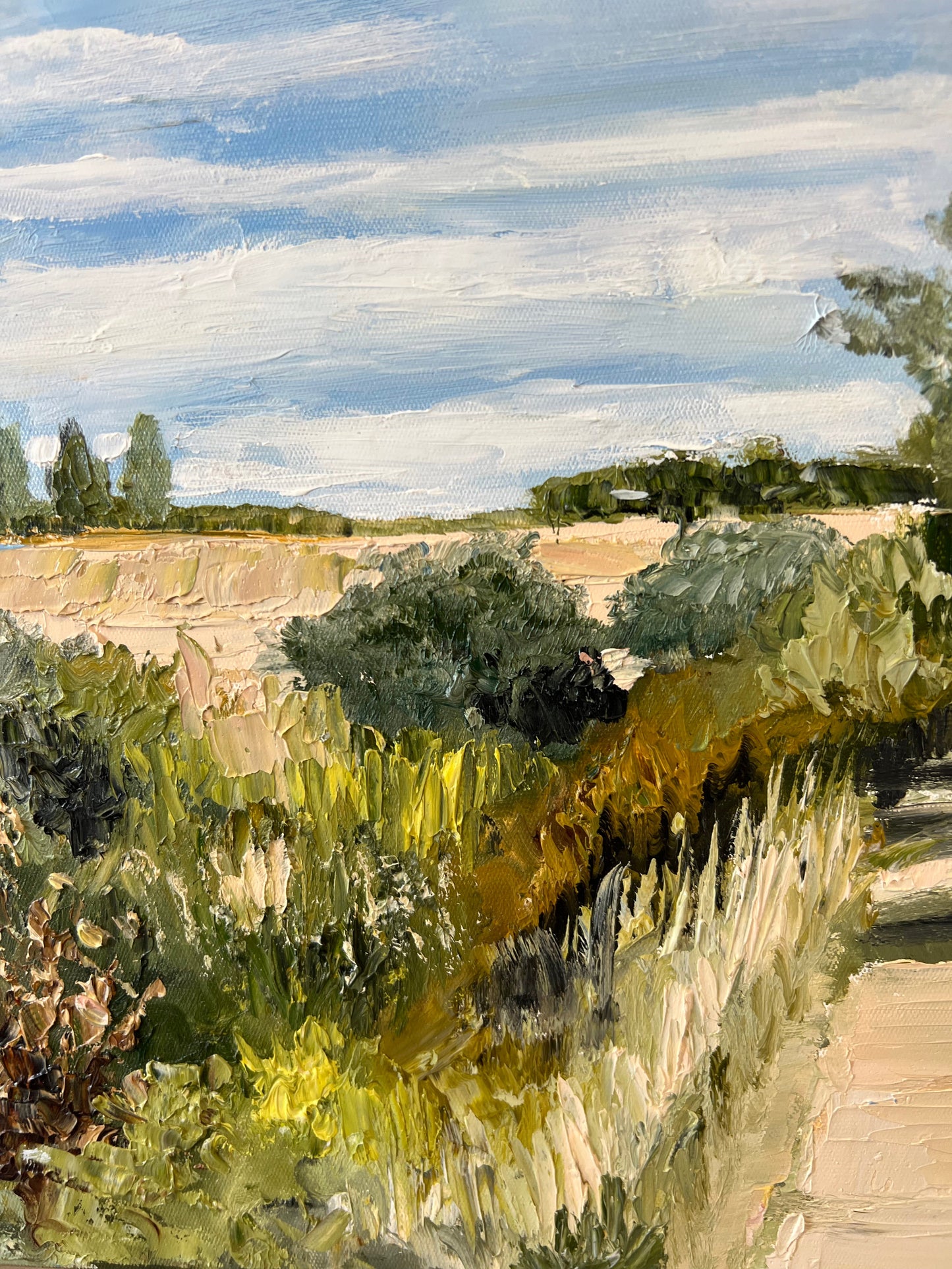 The Walking Track - 53cm x 53cm