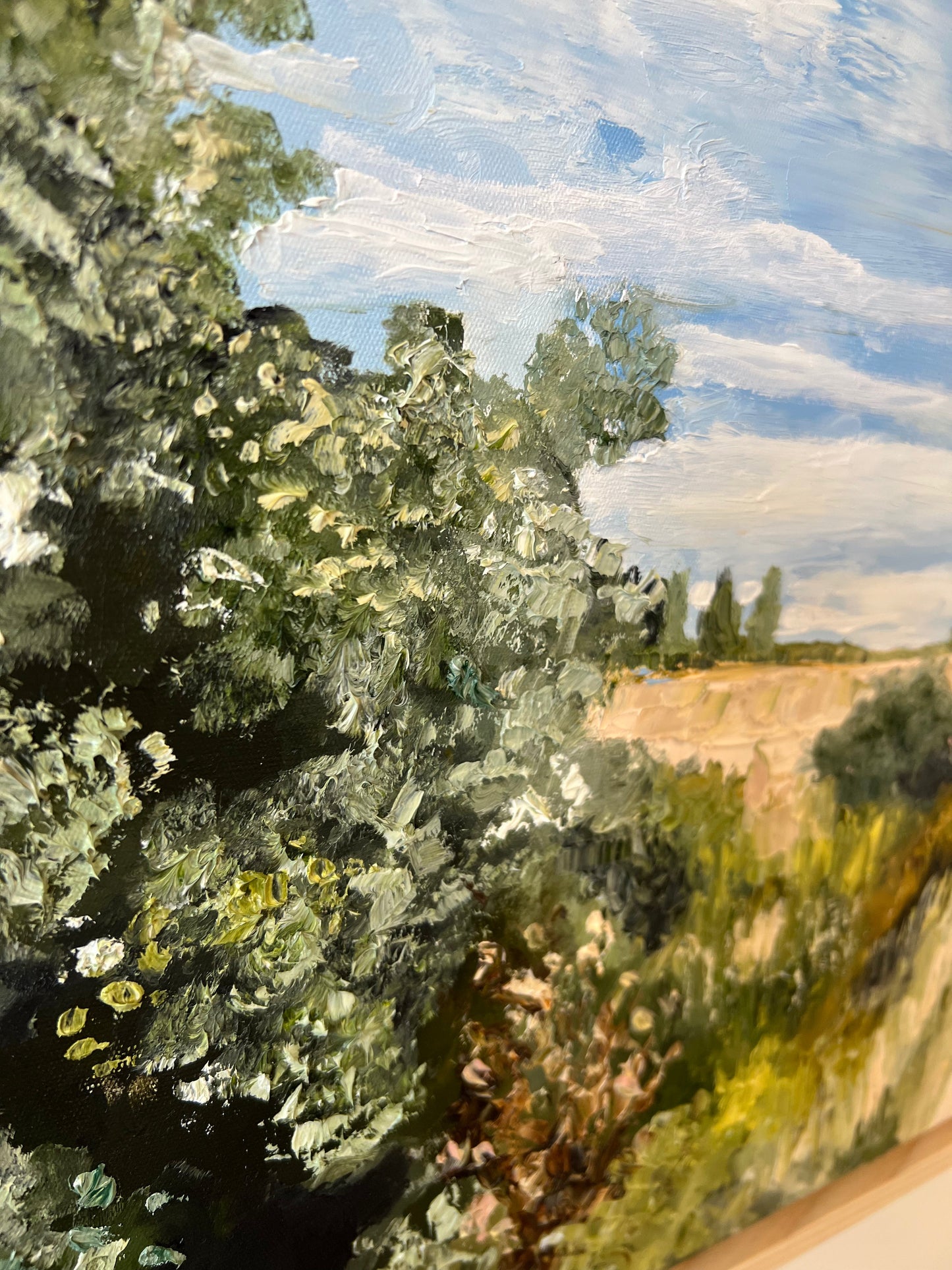 The Walking Track - 53cm x 53cm