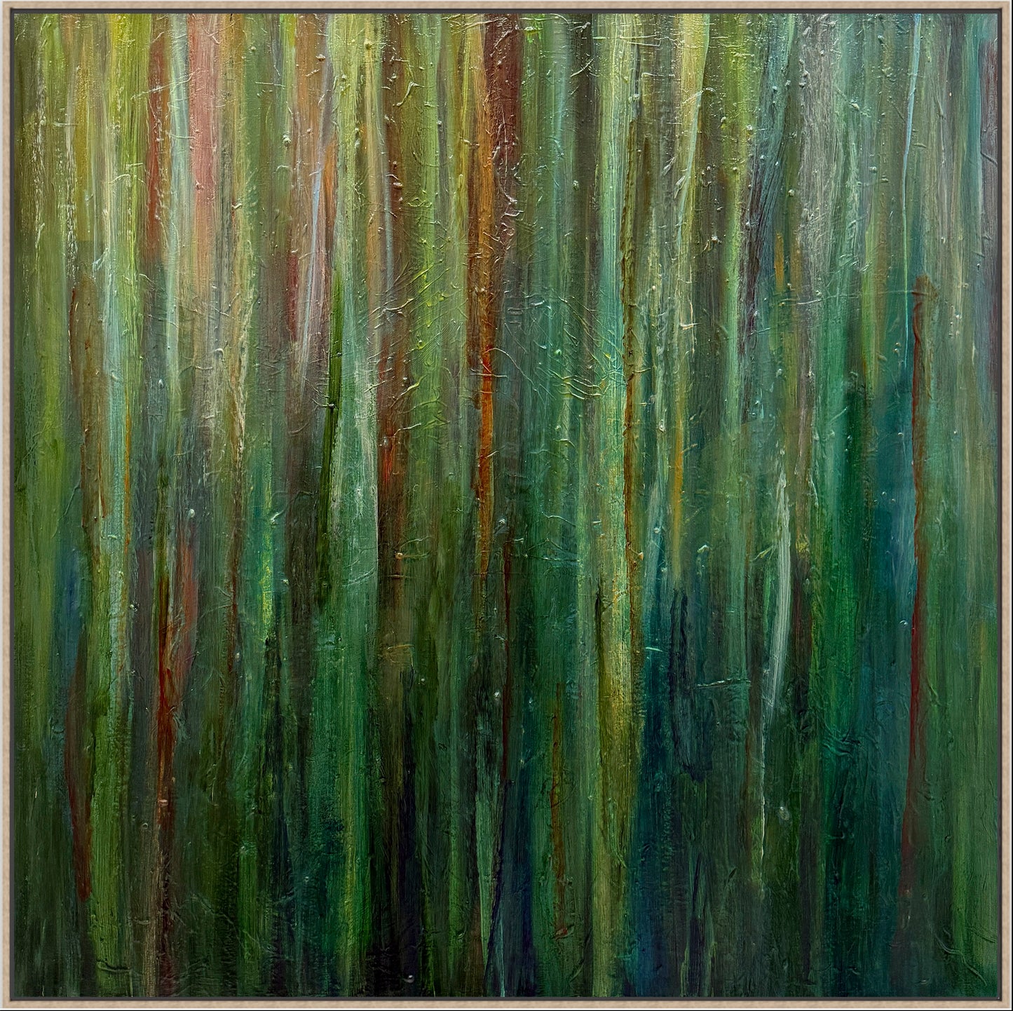 'Eucalypts Glow'