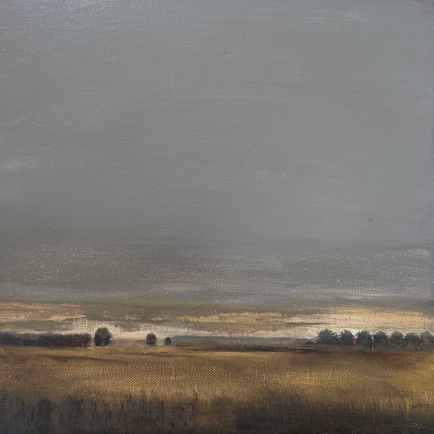 'Back Paddock In Winter'
