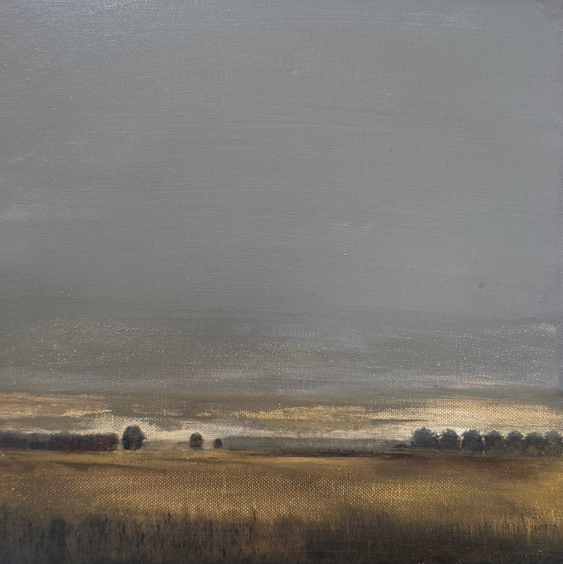 'Back Paddock In Winter'