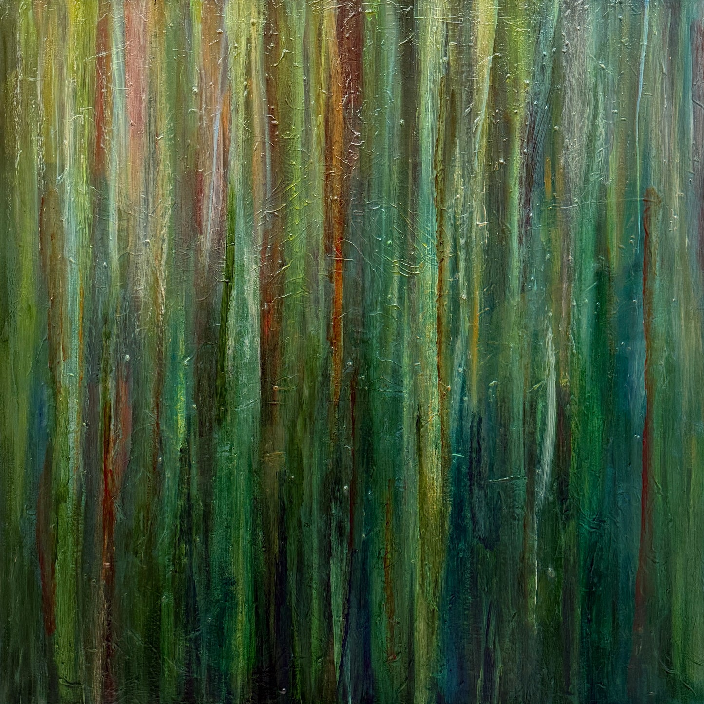 'Eucalypts Glow'