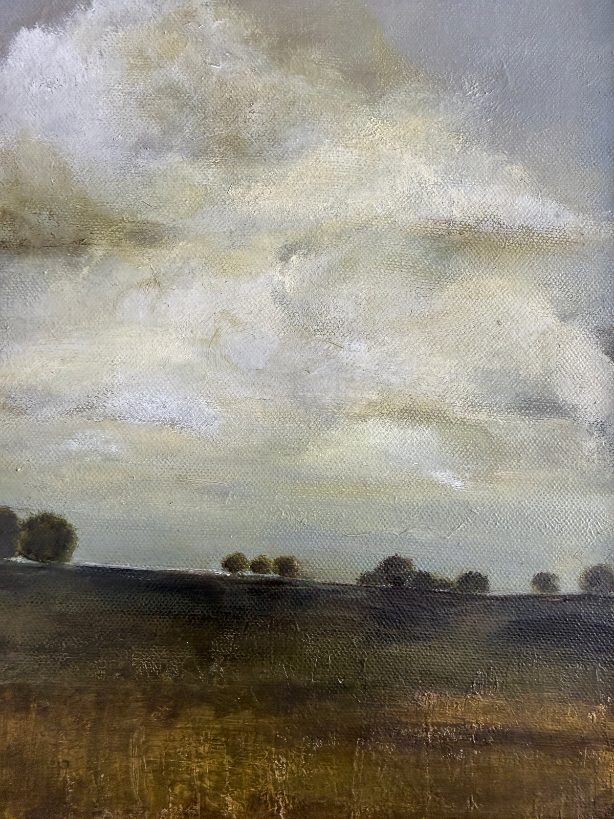 'Our View From the Front Porch'