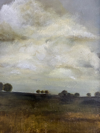 'Our View From the Front Porch'