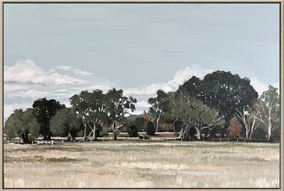 The Mount from Ferrier Road