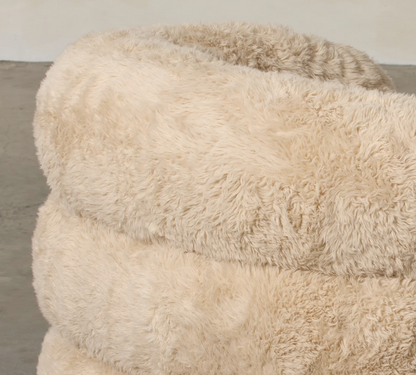 The Snuggle Fluffy Chair